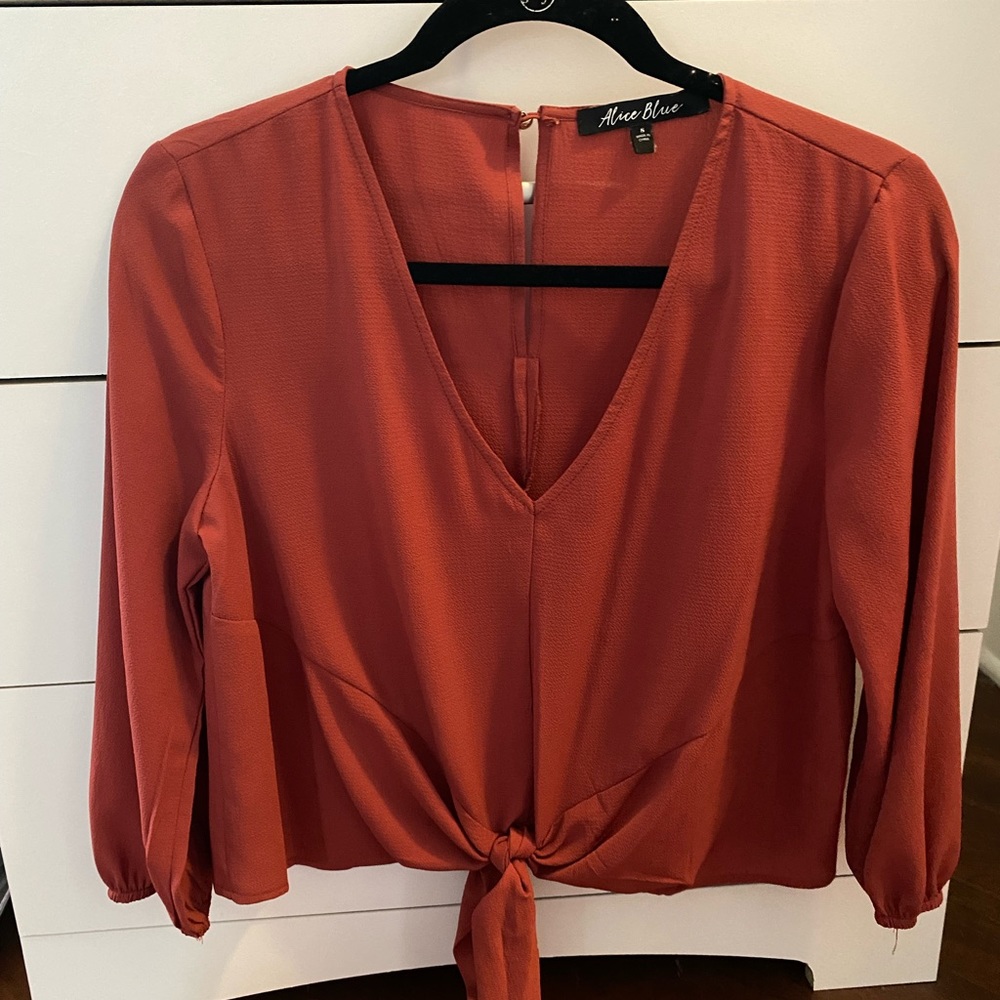 Burnt Orange cropped blouse